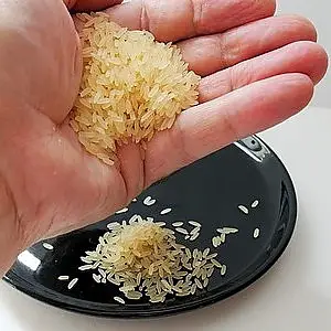 Handful of dry rice above plate