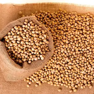 Bag of soya beans